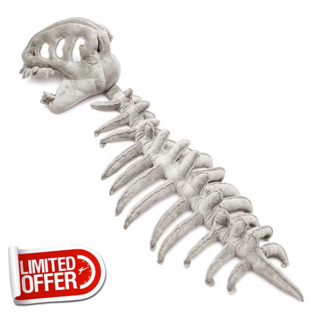 Dinosaur Skeleton Costume