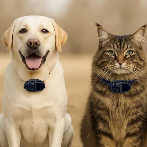 POV Portable Camera with Audio and Video Recording Bodycam for Motorcycle Walk Sports Pet Travel (Black)