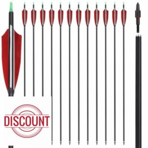30 32 Inch Archery Carbon Arrows Spine 500 Hunting Arrows with Replaceable Broadhead Turkey Feathers for Recurve Bow Compound Bow Target Practice 6/12PCS