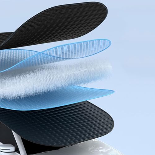 Protection Car Windshield