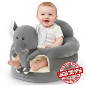 Sit Me Up Floor Seat for Baby