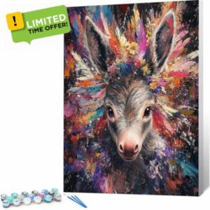 Paint by Numbers for Adults Color