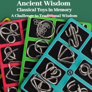 24-Piece Metal Brain Teaser Puzzles for Adults