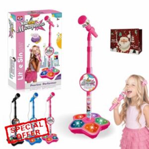 2026 New All-in-One Microphone Toy