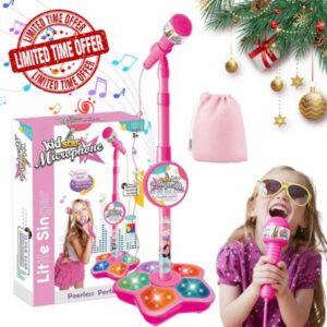 All-In-One Microphone Toy