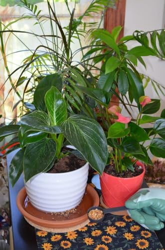 Bird Baths & Garden Water Features – Natural Larvae Treatment Safe for Pets