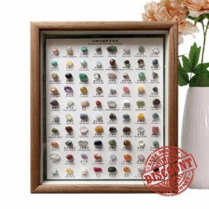 Mineral Identification Box - 80X Mineral Specimens For Rock Collection | Minerals Collection With Collector Box - Rough Crystal Set For Kids Crystal Kit STEM Geology Science Educatio