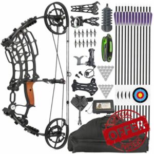 Compound Bow Set 30-70 Lbs Steel Ball and Arrow Dual Purpose Bow Hunting Bows for Shooting Bowfishing Targeting Let-off:80% 420 FPS