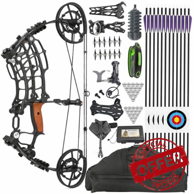 Compound Bow Set 30-70 Lbs Steel Ball and Arrow Dual Purpose Bow Hunting Bows for Shooting Bowfishing Targeting Let-off:80% 420 FPS