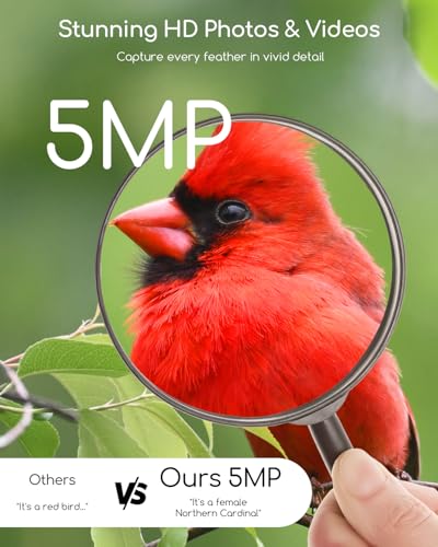 Auto Recording & Instant Notifications for Bird Lovers