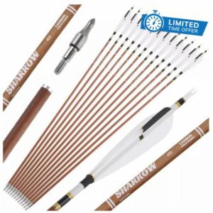 31" Pure Carbon Arrows Natural Feather SP340/400/500/600 Archery Bow Hunting Practice Targe