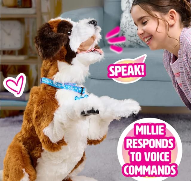 Accessories Included