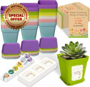 Gifts for Students from Teachers