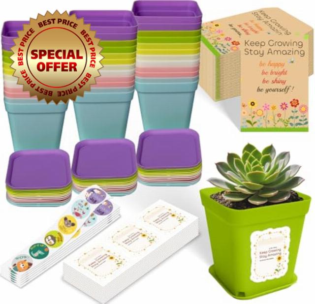 Gifts for Students from Teachers