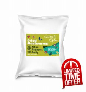 Premium Dried Mealworms for Wild Birds