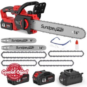 Brushless Cordless Electric Chainsaw - 12" & 16" Dual Guide Plate Battery Handheld Chainsaw with 2 x 4.0Ah Battery & 4 x Chains & Tool-Free Tensioner & Chain Brake for Tree Trimming Cutting