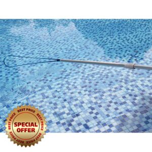 Portable Swimming Pool Rescue Hook with Extendable Pole