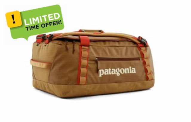 Patagonia Black Hole Duffel 40L Talon Gold