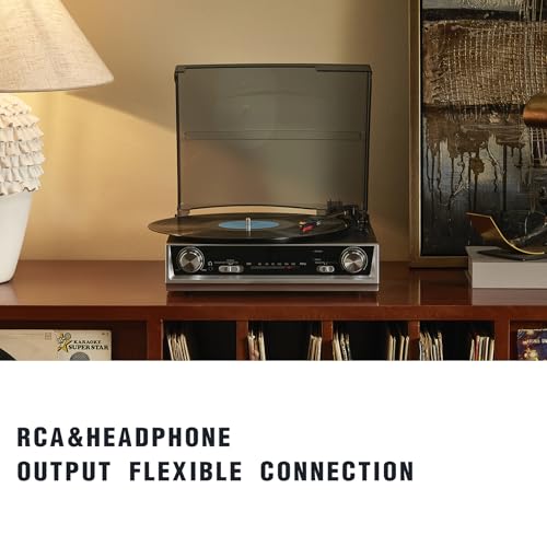 RCA & Headphone Output