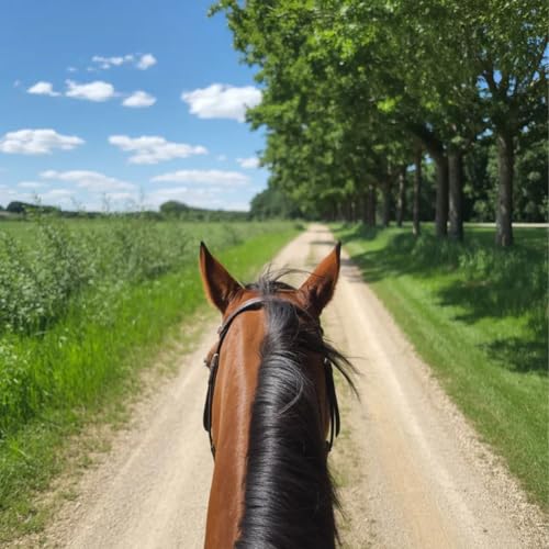 170° Ultra-Wide Helmet Cam for Cycling & Vlogging(Black