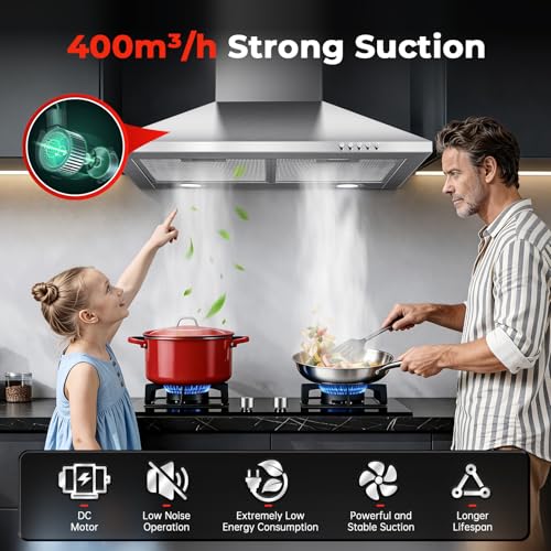 400m³/h Stainless Steel Chimney Extractor Hood