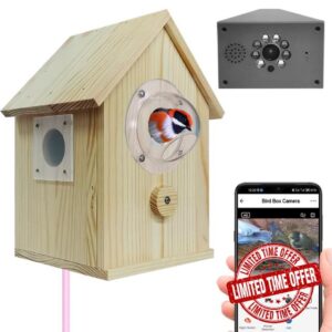 Smart Bird Box Camera with WiFi