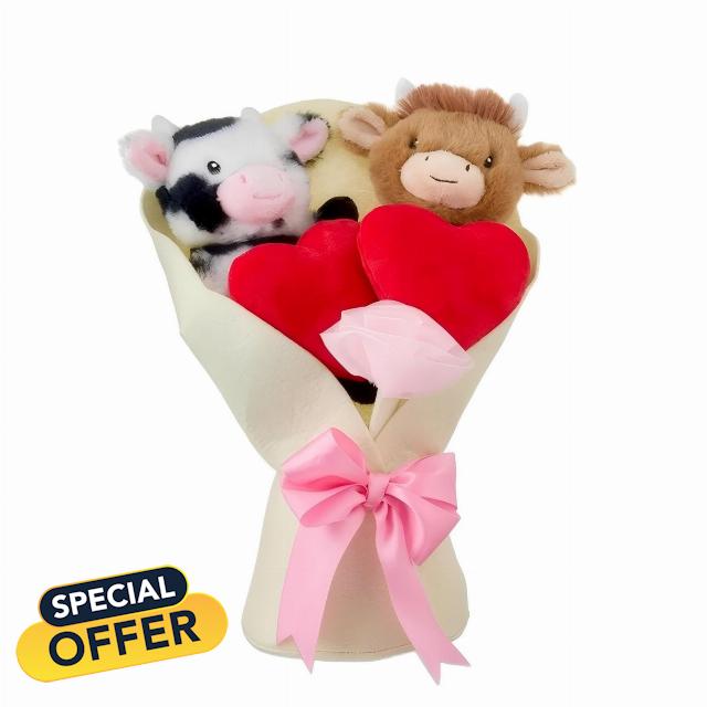 Highland Cow Valentines Day Plush Gift