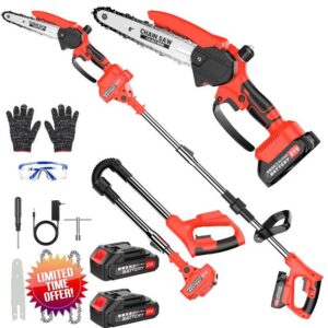 2-in-1 Cordless Pole Saw & Mini Chainsaw