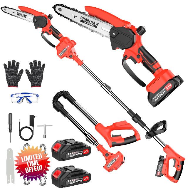 2-in-1 Cordless Pole Saw & Mini Chainsaw