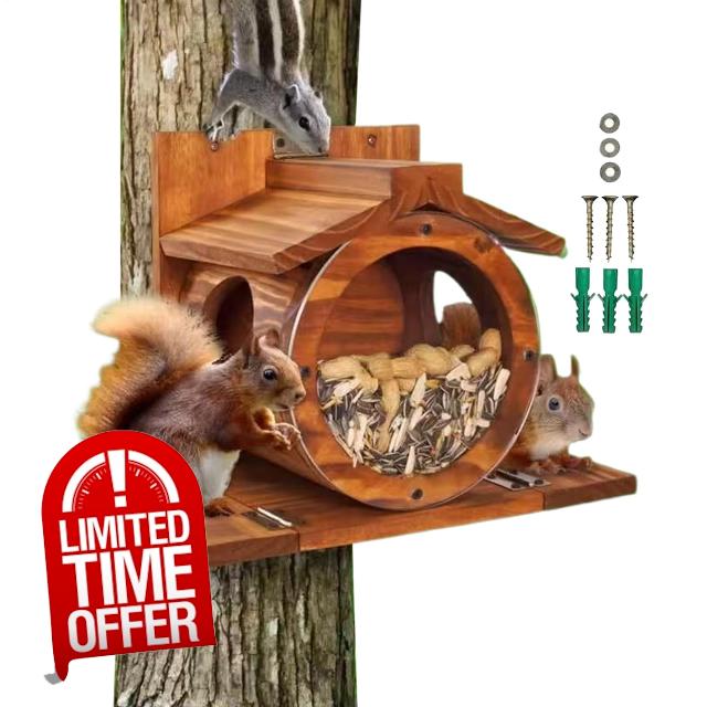 Squirrel Feeders for Outside Wooden
