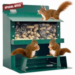 Bemonew Squirrel Feeder 9×8×6in Metal Squirrel House with Clear Window & Stand Foldable Heavy Duty Box for Corn