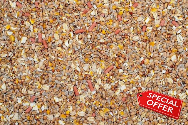 5 kg Johnston & Jeff No Mess No Grow Wild Bird Seed Mix – Premium Clean