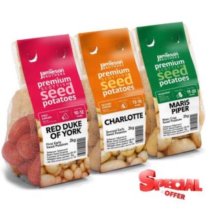 6kg Seed Potato Bundle (Charlotte