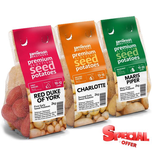 6kg Seed Potato Bundle (Charlotte