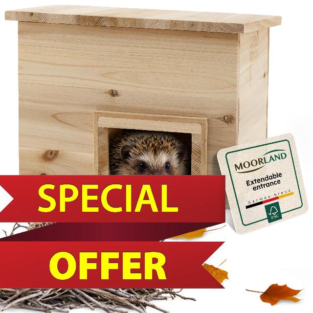 Moorland Weatherproof Hedgehog House UK 20×20 cm – Compact Hibernation House Feeding Station with Floor
