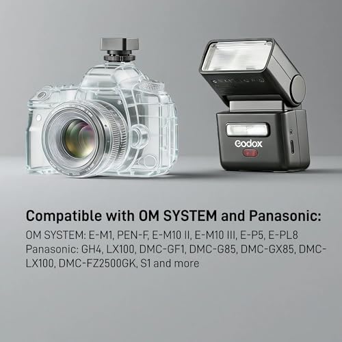 2.4G HSS 1/8000s Camera Flash