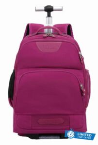 House Of Leather Convertible Rolling Laptop Backpack