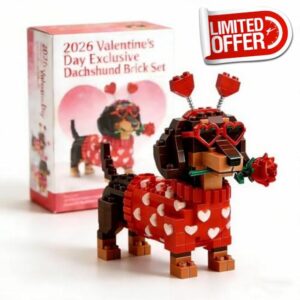 Valentine’s Day Dachshund Brick Set