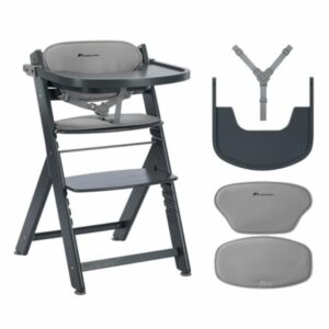 Bebeconfort Timba 2 with Cushion