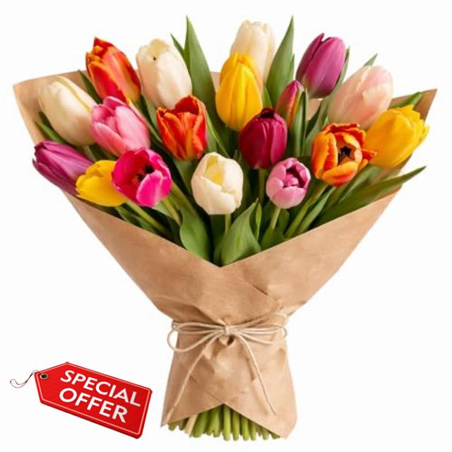 Mixed Colour Tulip Bouquet Fresh Cut Seasonal Flowers With Chocolate or Balloo