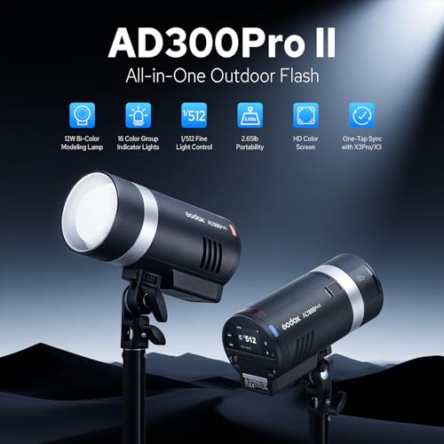 300Ws Portable Outdoor Flash Light with Battery