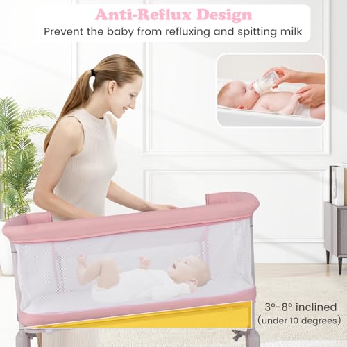 Storage Shelf and Carry Bag