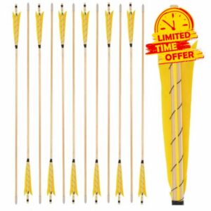 6/12pcs 32.3Inch Wooden Arrow 8mm Shaft Stainless Steel Arrowhead 5" Turkey Feathers for Traditional Recurve Bow Longbow Hunting Shooting Targe