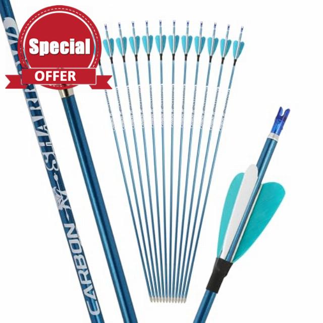 32” 400 500 600 700 800 900 1000 Spine Archery Pure Carbon Arrow Archery Target Arrow Practice for Adult Beginner Recurve Compound Bow Shooting（6/12pcs）