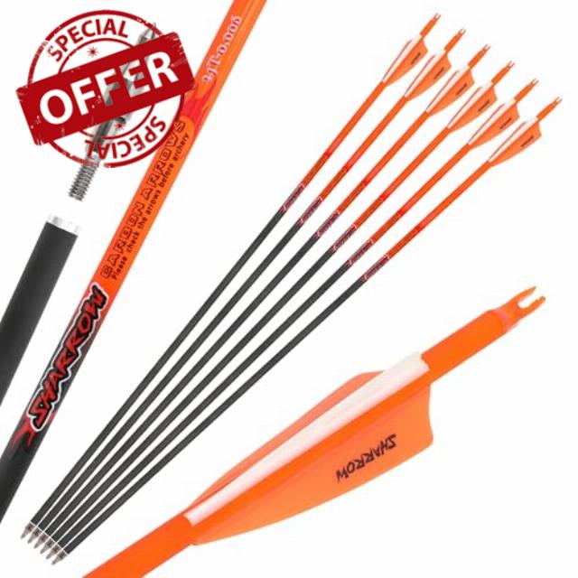 33“ Archery Pure Carbon Arrow 300 Spine ID 6.2mm With 3” Rubber Feather Hunting Arrow for Outdoor Hunting Target Archery Shooting Training (6/12pcs)