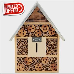 Wooden Insect Hotel for Garden and Outdoors - Natural Bee and Bug House for Wildlife - Shelter and Nesting for Beneficial Insects - 29x9x38cm - Thompson & Morga