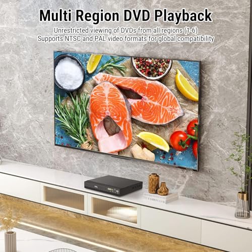 1080P All Region Mini DVD Players for Smart TV