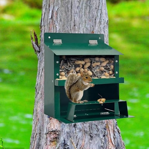Easy Mount Design | Ideal Outdoor Feeder for Garden