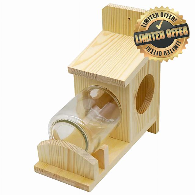 Squirrel Feeders for Outside