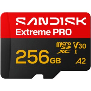 UHS-I + SD Adapter (up to 250MB/s read